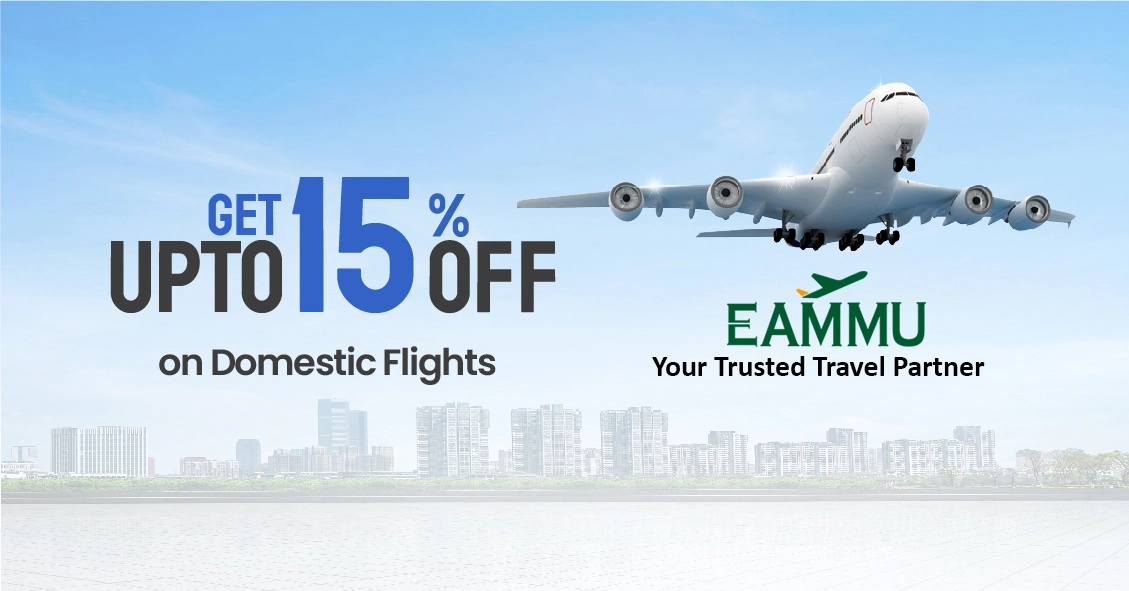 Domestic flight ticket deals